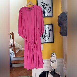 Ann Taylor Pink Paneled Belted Shirtdress Size 10 NWOT